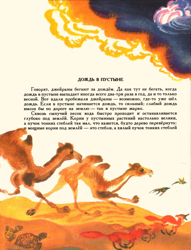 Romanova-Natala-Jashherica-bez-khvosta-page-0025