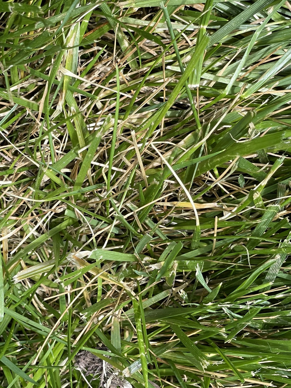 03DC46C2-09C1-4726-AE15-29EB87EB27A5