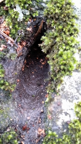 20140222_151903 (360x640)