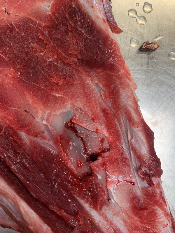 8B443912-A4FB-4B36-9EC4-F4F30004F125