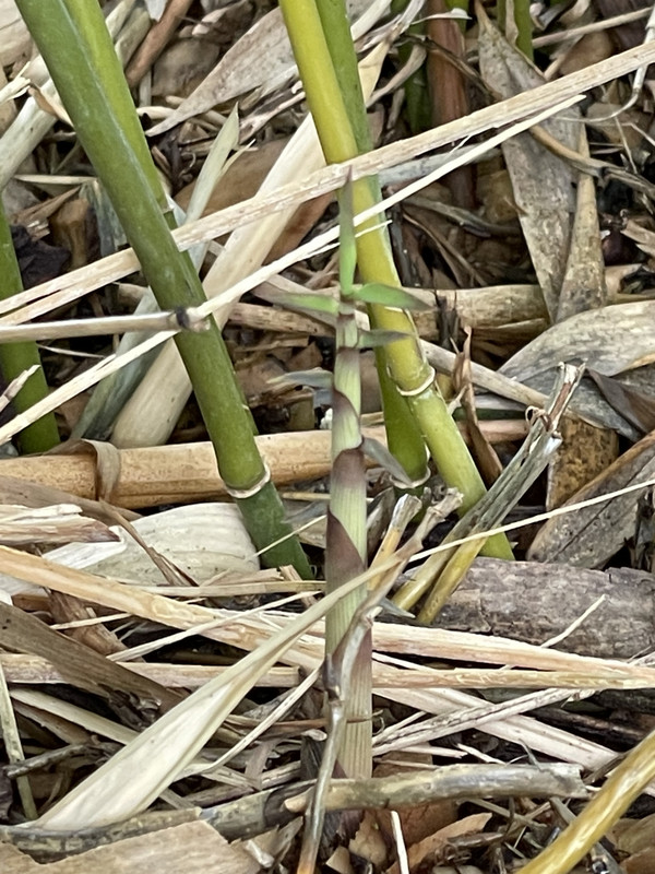 2C0F0ED1-7054-4493-95D6-CC4378E3D83B