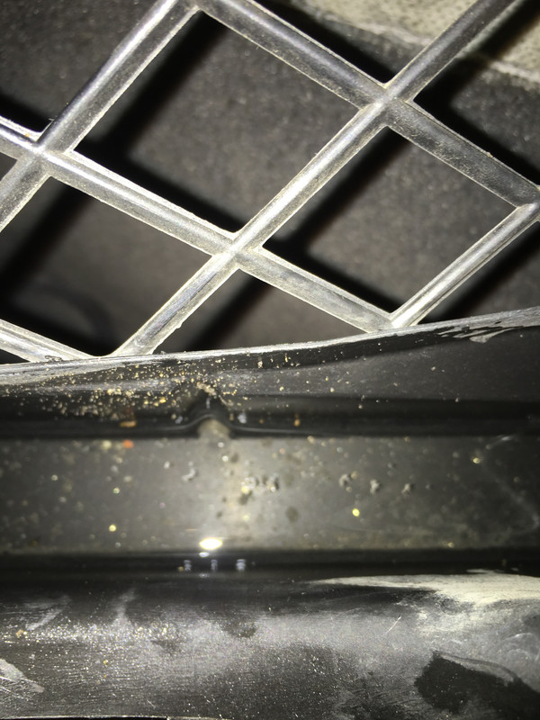 A8601673-91B1-43F9-BFE8-FEE05960C420