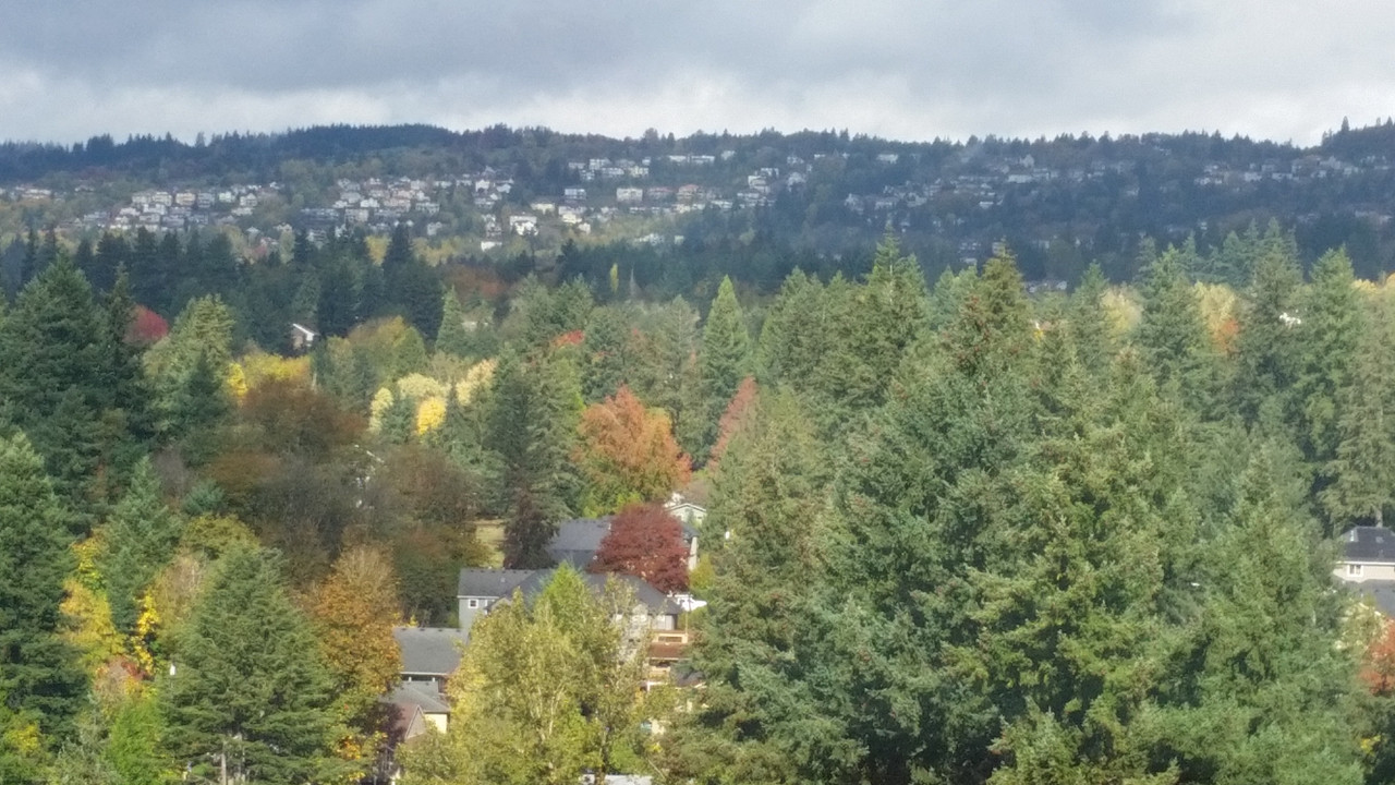 [Image: 20181029-123710.jpg]