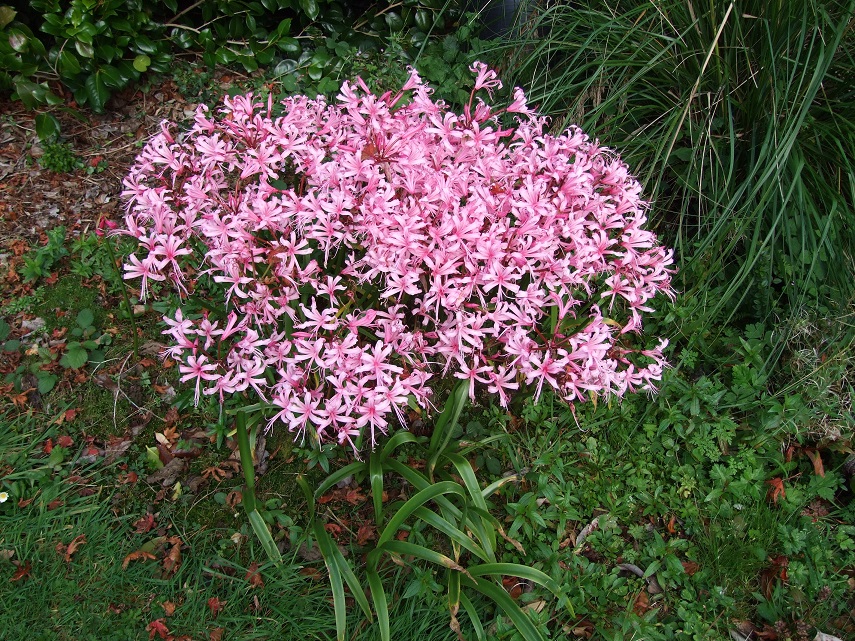 DSCF7178small
