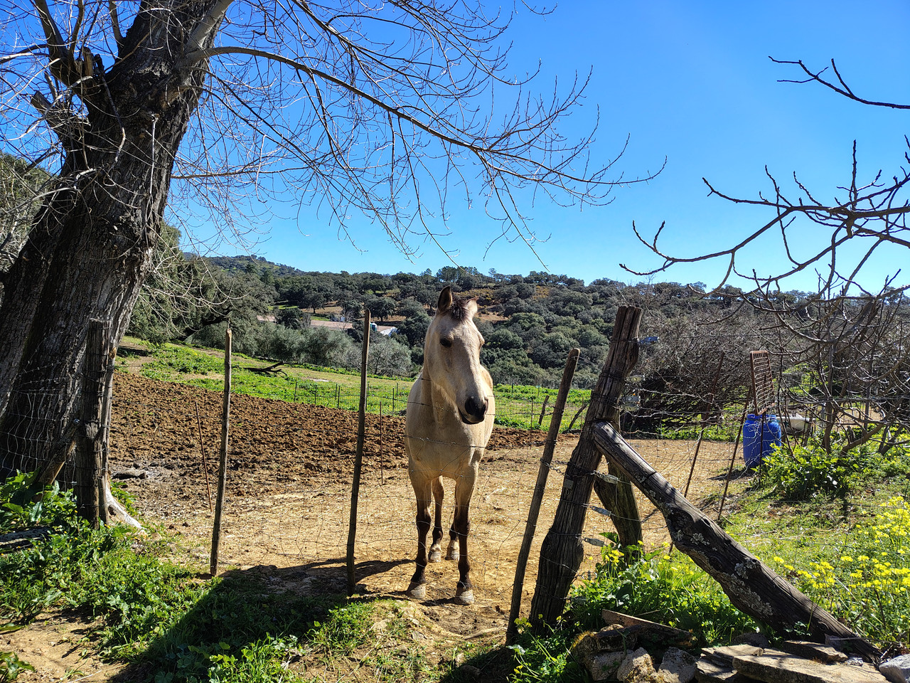 22