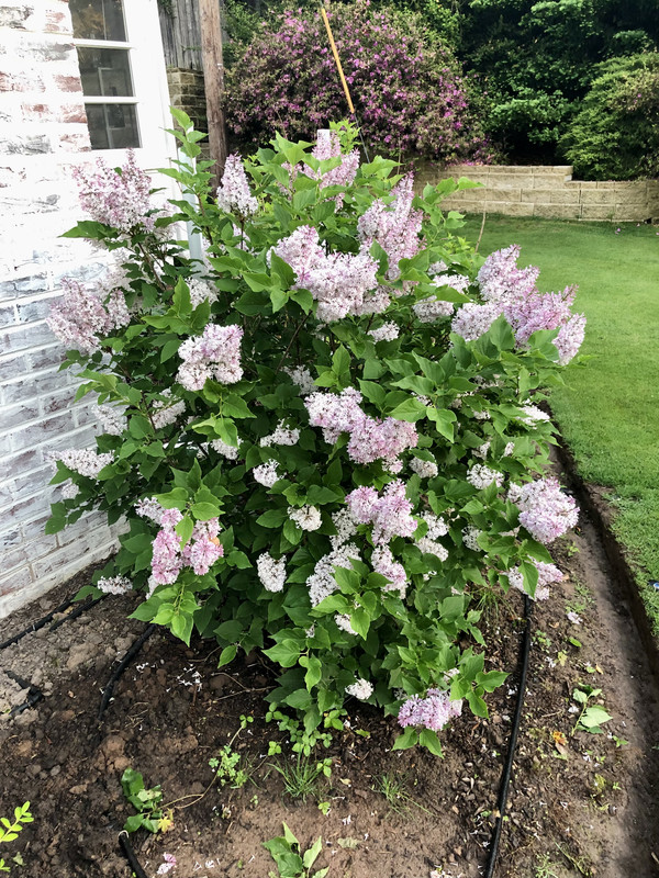 366E8054-BE0C-46A0-88B4-FEEB7B58FFFF