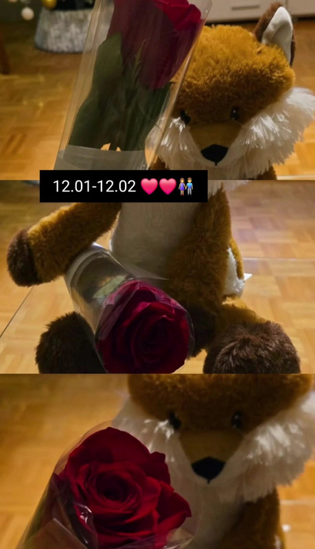 Screenshot 20260212 002431 Instagram