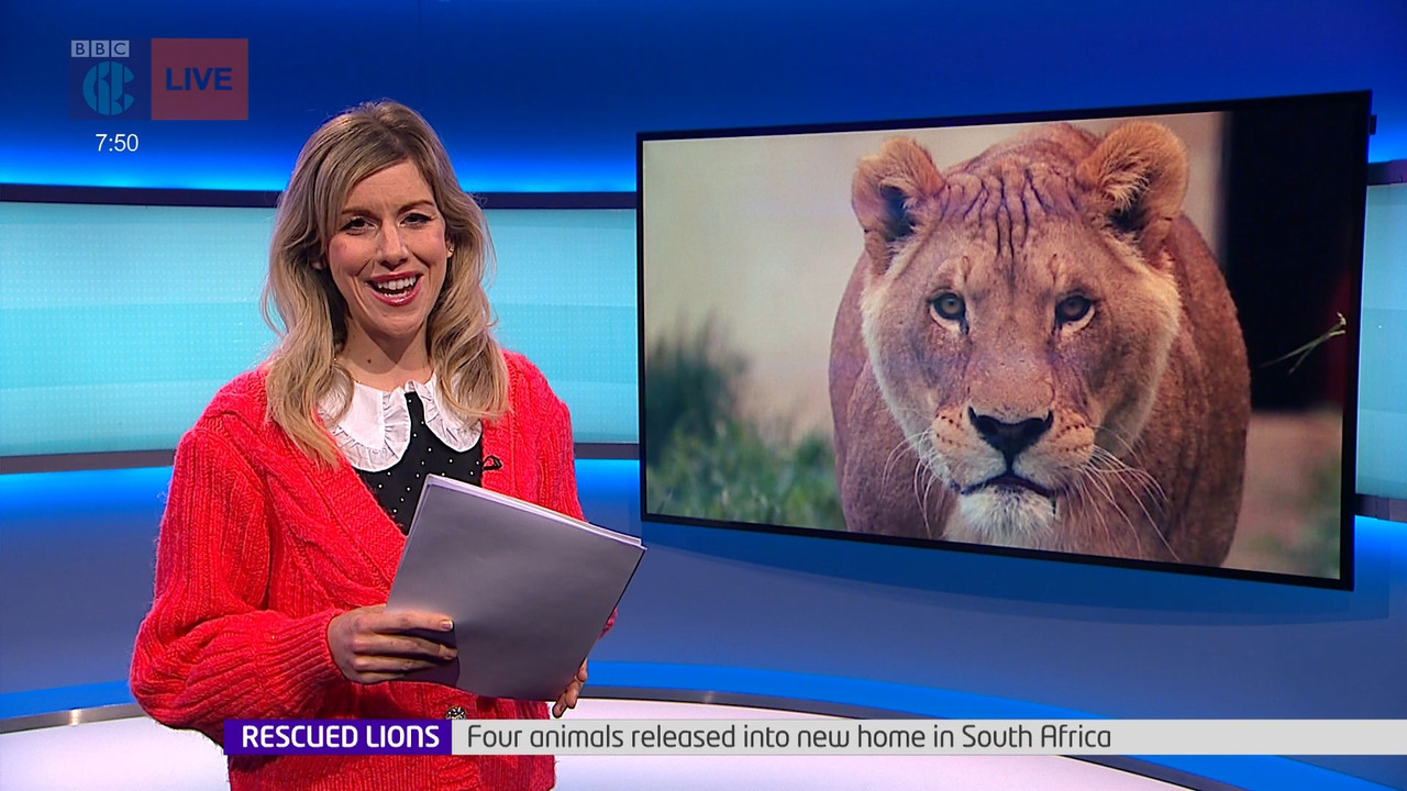 Newsround_20220223_07450755.ts_snapshot_06.53.978
