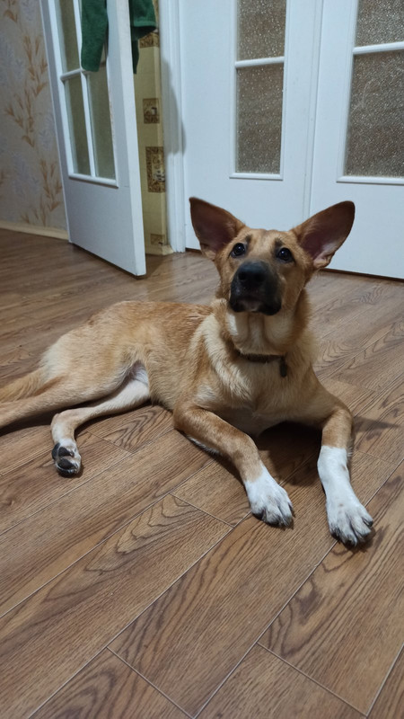 изображение_viber_2022-01-12_14-32-30-162