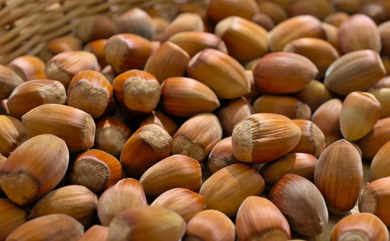 ¿Cuáles son los beneficios de consumir avellanas?