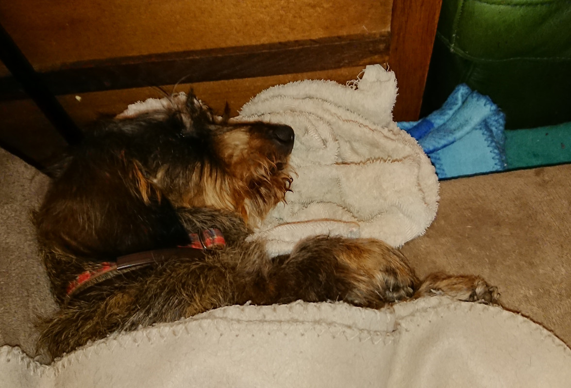 [Image: 20240914-223652.jpg]