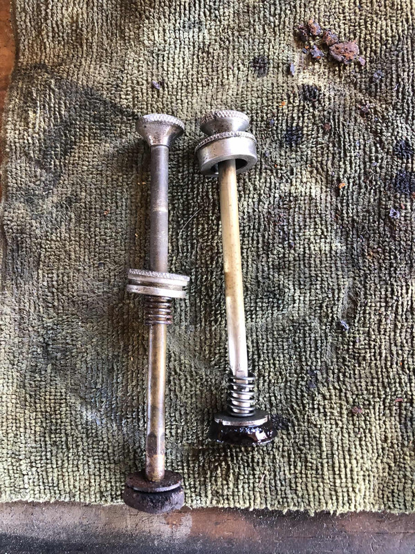 025D03AD-1D9E-420B-BDE5-DA43DCB5EE0F