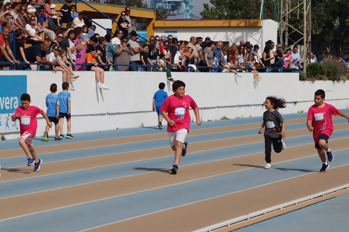 IMG-8331