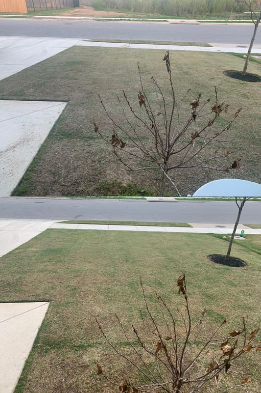 103D6C1E-24CF-4CCF-9118-338121F8454B