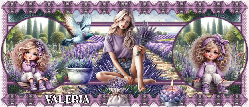 Flor de Lavanda valeria
