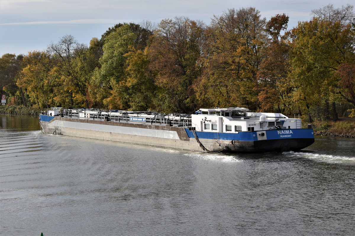 2021.10.31hb Naima (1940x1293)