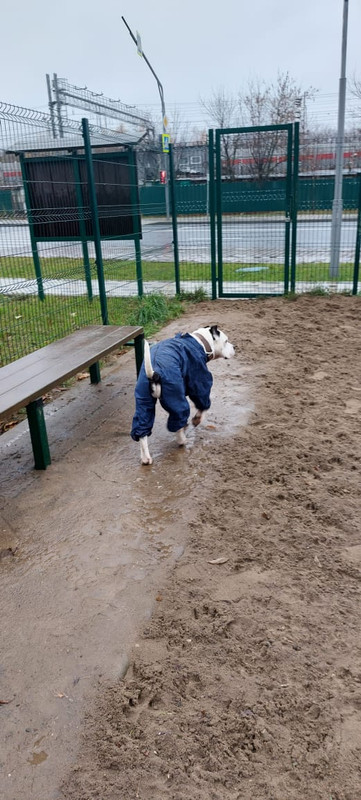 CC5C620B-B319-43AA-8F61-D3AA83F837B3