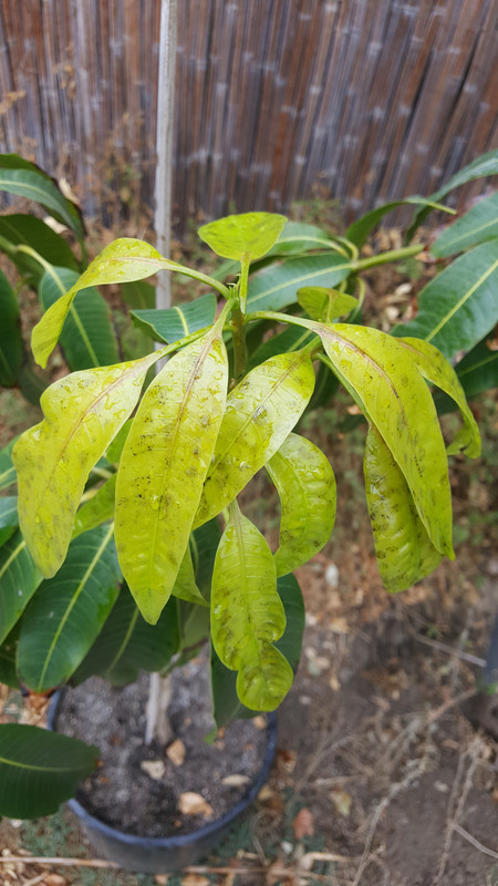 20171101_131848