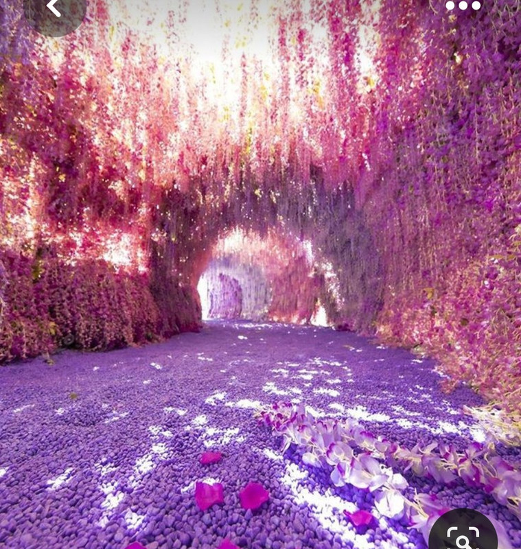 Screenshot_20230514_150054_Pinterest