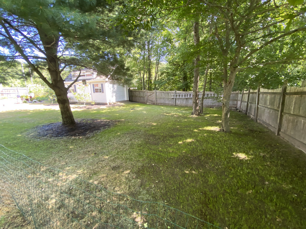 BD7E1FBD-B878-469E-9924-5AAC0DB7374C