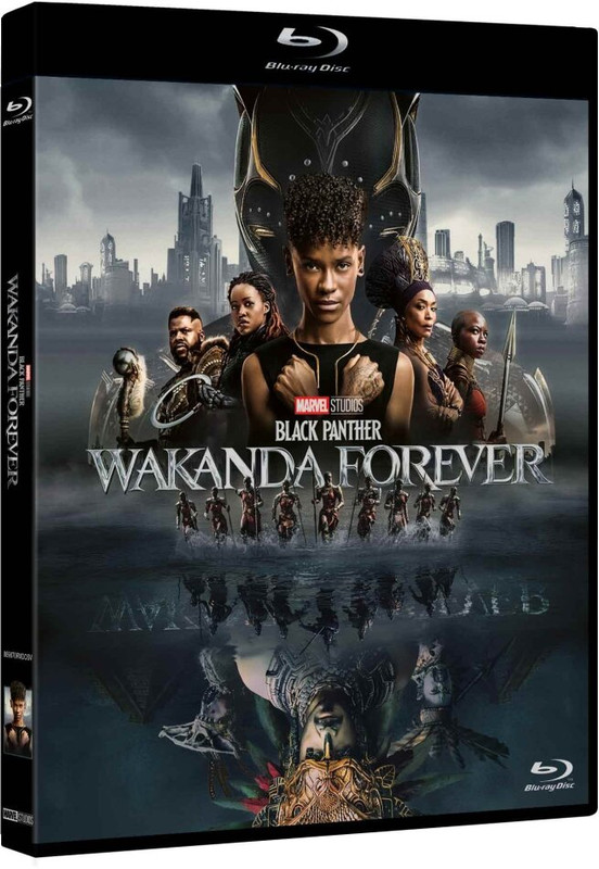 Black Panther - Wakanda Forever (2022) BDRip 576p ITA ENG AC3 Subs