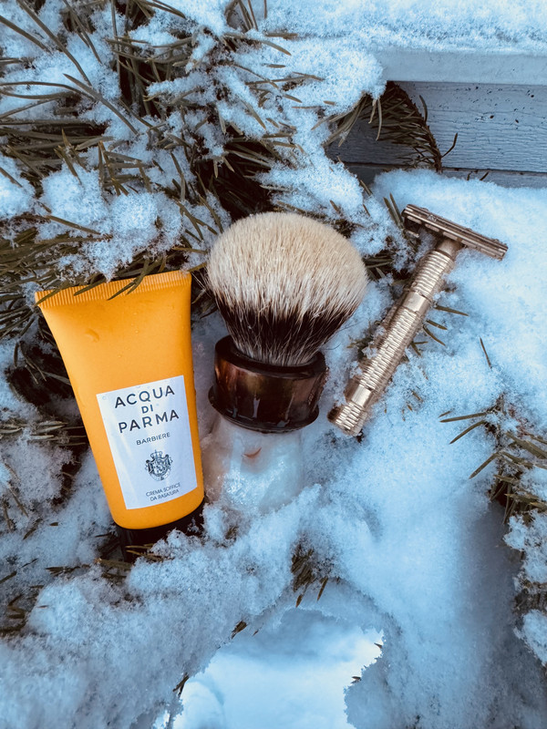 SOTD_20231229.jpg