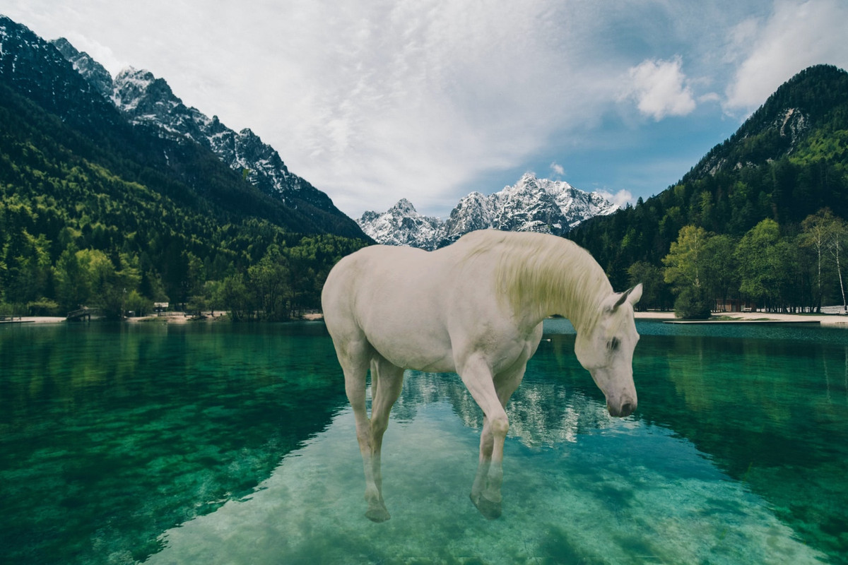 10B3EC23-F82B-42ED-86BB-4BCB85B9C183