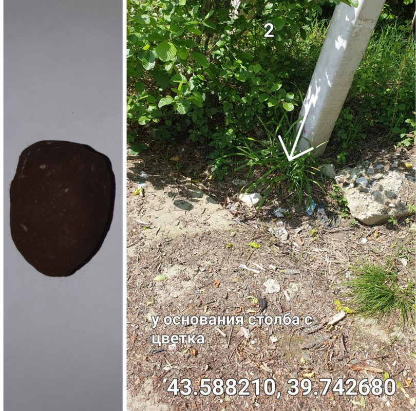 5 — Postimages