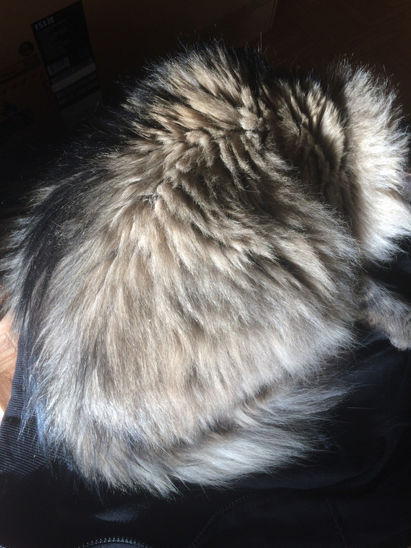 3353ECAC-B4F4-4952-A814-F43B461EEA1A