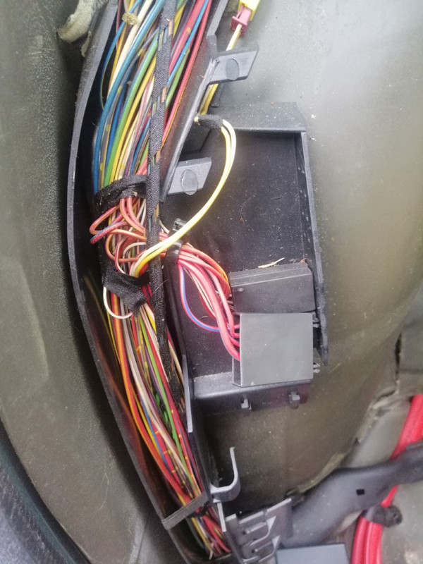 IMG_20200319_125042 (Średni)