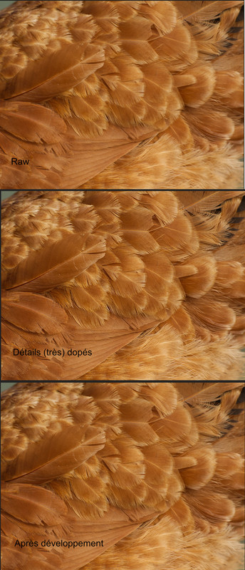 Montage Affinity détails 250620