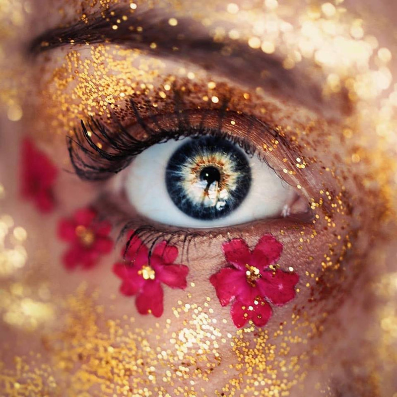 ���� ���� ������ �� ���� ������