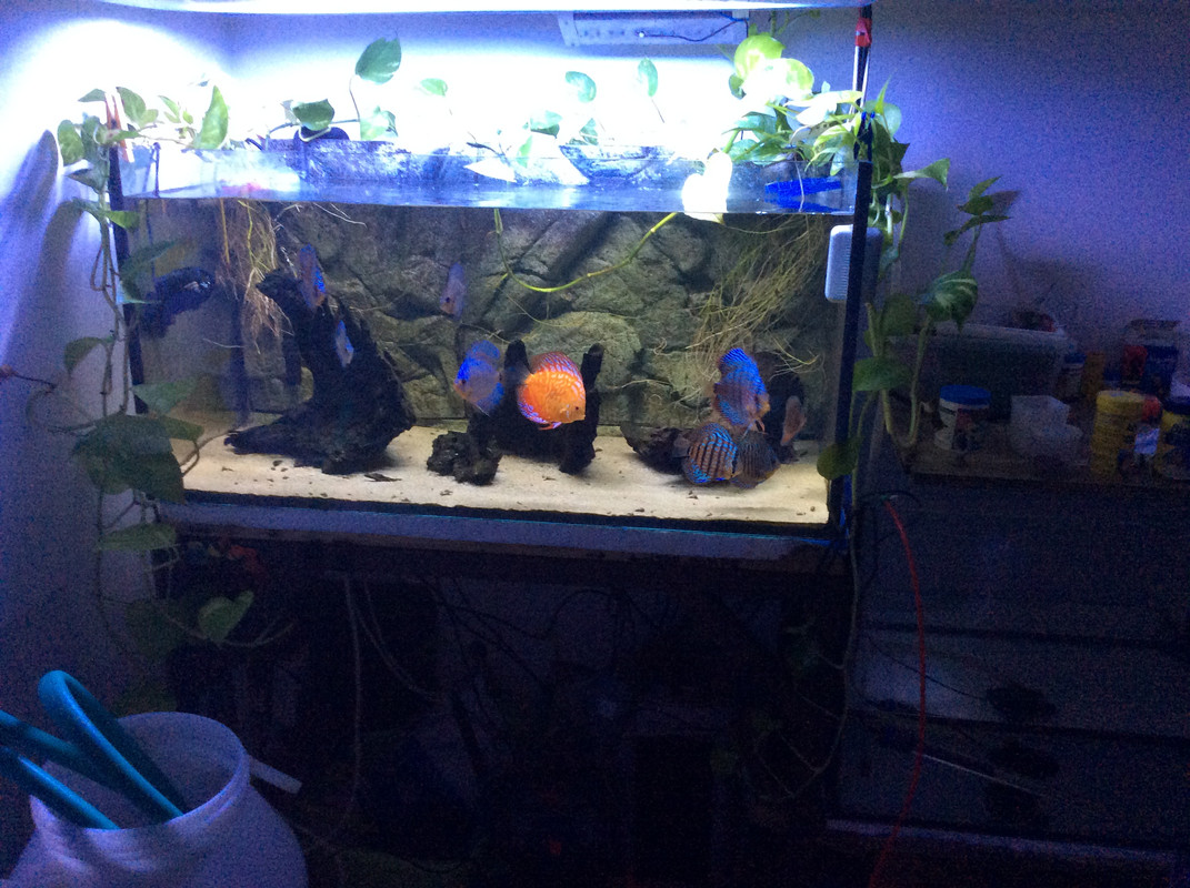 F887AADD-7A5C-4C2F-BED0-88D3CF12B80A