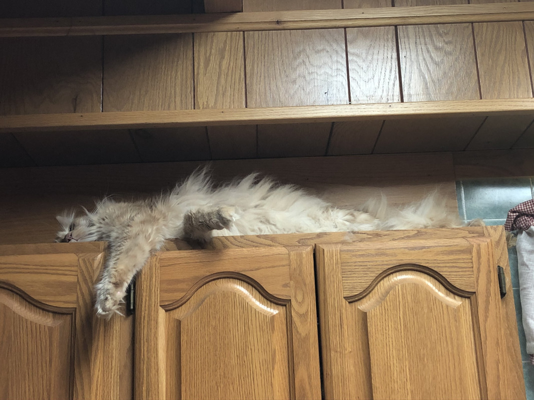 EF564E75-2517-41F1-82CF-8E5502525067