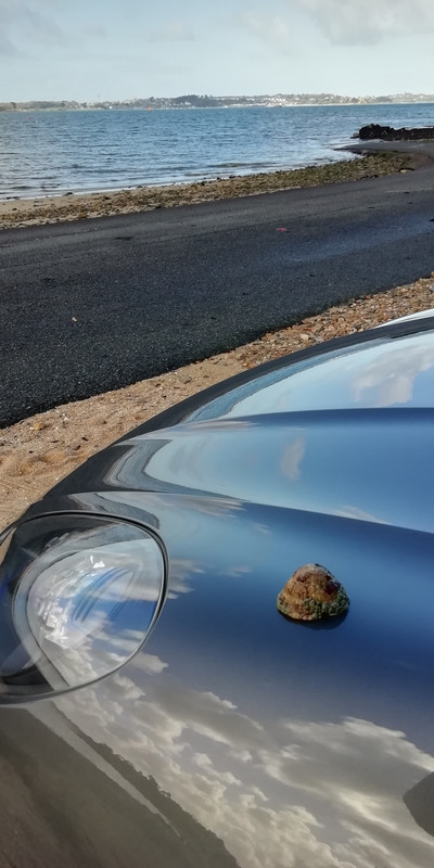 Carentec ils Callot Chapelle St servais  25fev22 (29)