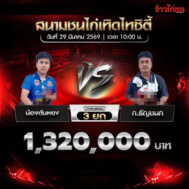 น้องตันหยง พบ ก.ธัญชนก โปรแกรมไก่ชน สนามชนไก่เทิดไทซิตี้ 29 มีนาคม 2569