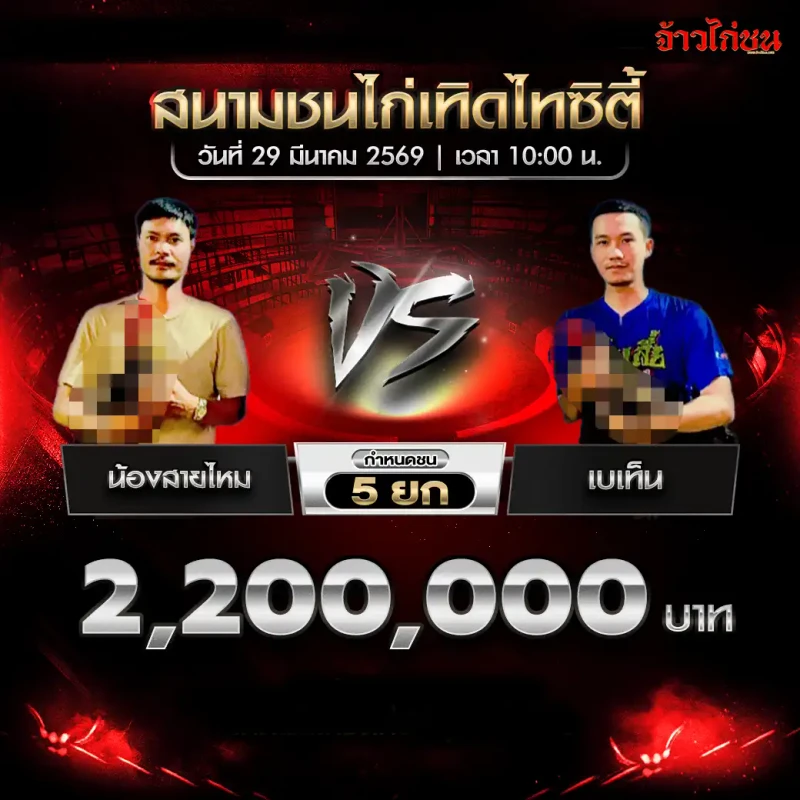 น้องสายไหม พบ เบเท็น โปรแกรมไก่ชน สนามชนไก่เทิดไทซิตี้ 29 มีนาคม 2569
