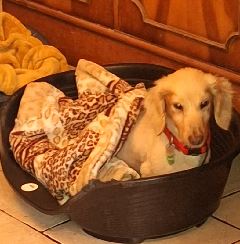 [Image: 20240312-183044.jpg]