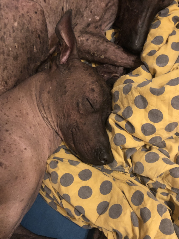 9E08A5C5-244B-4ABC-AF3D-0FE3C1F80F6D