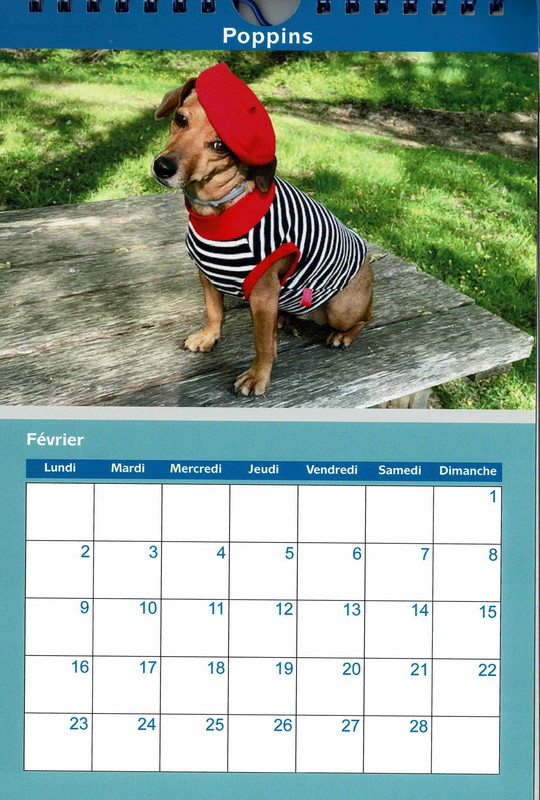 [Image: Num-risation-20250826-2.jpg]