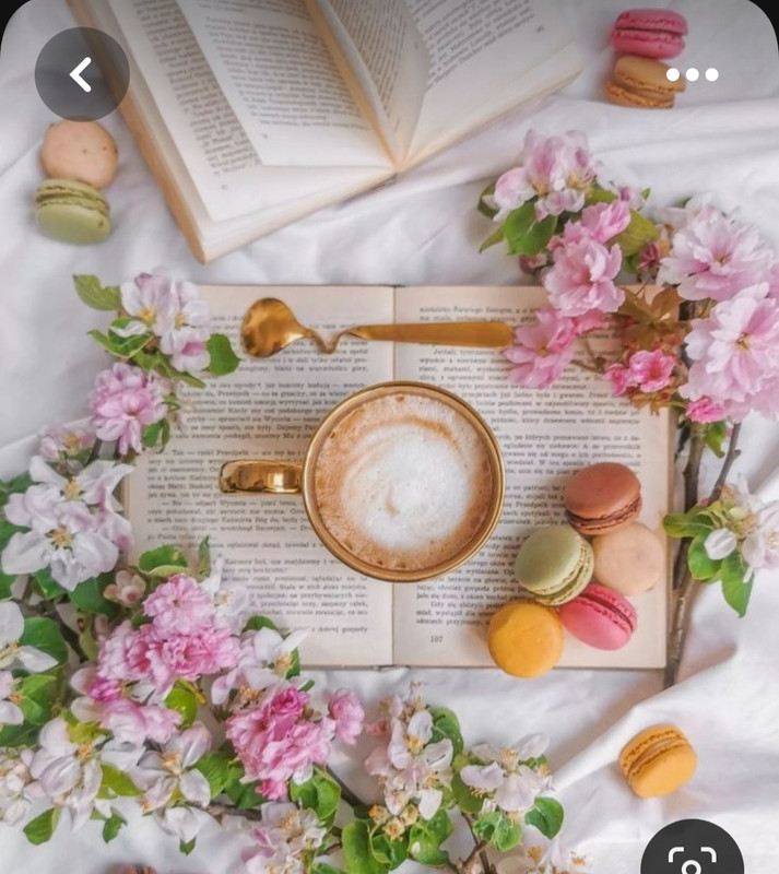 Screenshot_20230528_212235_Pinterest