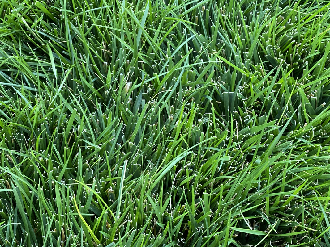 82CC7EFB-719F-42A2-B127-3B3446BD9524