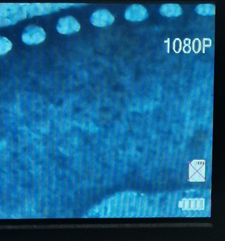 Manipulación? 1 peseta  1961 Microscopio-2