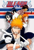 Bleach-TV-Series-214857327-large.jpg