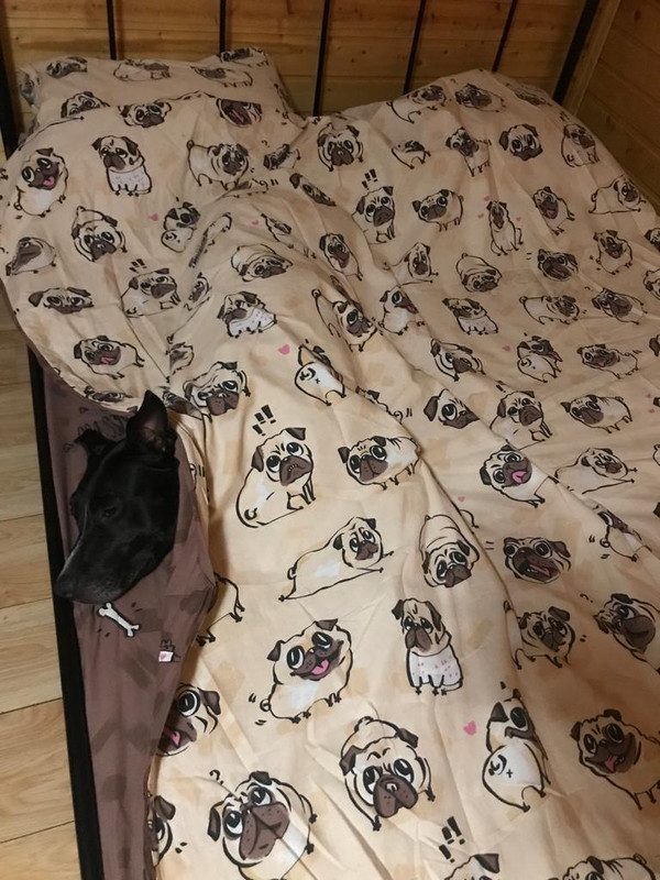 8576944B-5372-40E9-A564-6697E3F34D20