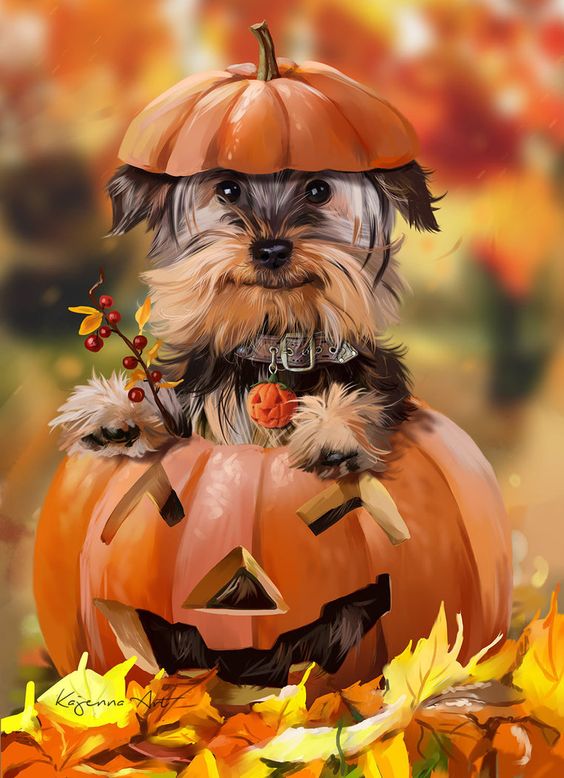 Orangepumpkindog.jpg
