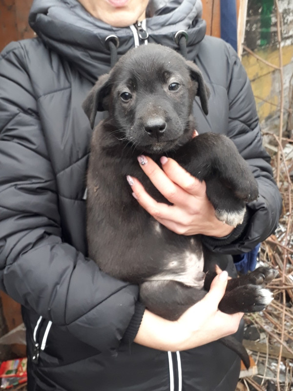 98A67F1C-5F45-4E3B-A1BC-83C5B3185BE2