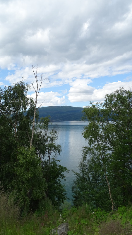 DSC01143.jpg