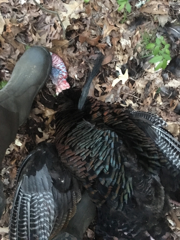 F4075D59-4CF7-444E-B004-BAF74901B043