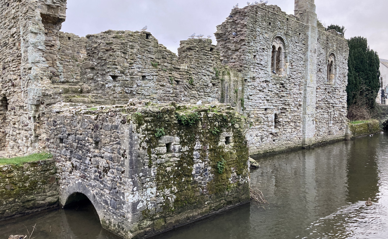 AE59F534-BBC3-4D15-99AF-B130DFF75FC6